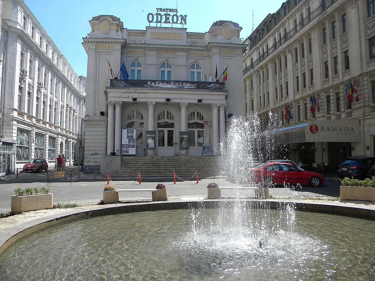 Studio Confort Bucureşti 0*,  România